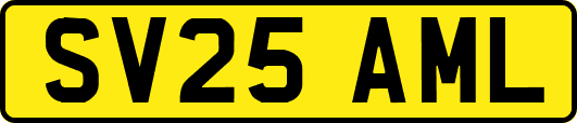 SV25AML