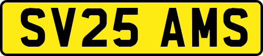 SV25AMS