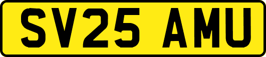 SV25AMU