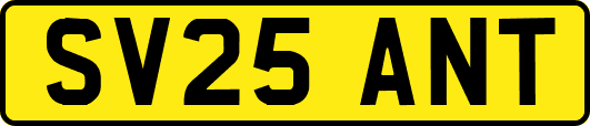 SV25ANT