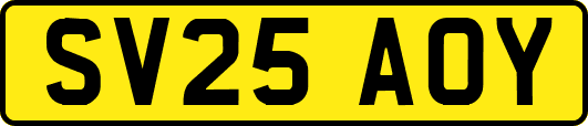 SV25AOY