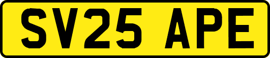 SV25APE