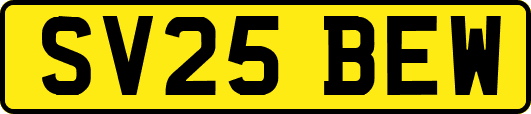 SV25BEW