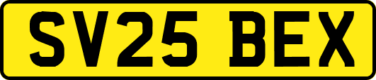 SV25BEX