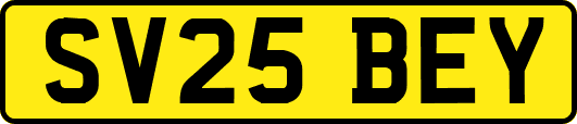 SV25BEY