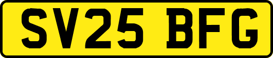 SV25BFG