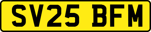 SV25BFM