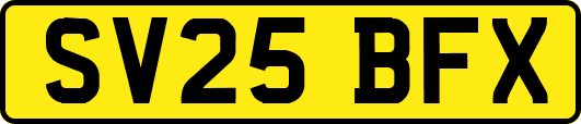 SV25BFX