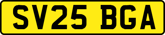 SV25BGA