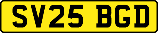 SV25BGD