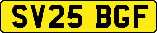 SV25BGF