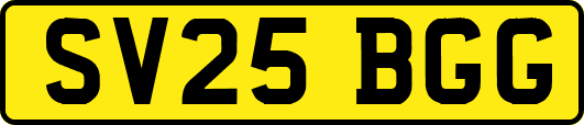 SV25BGG
