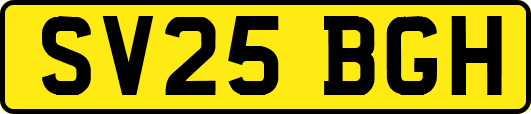 SV25BGH