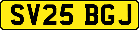 SV25BGJ