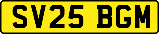 SV25BGM