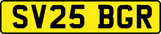 SV25BGR