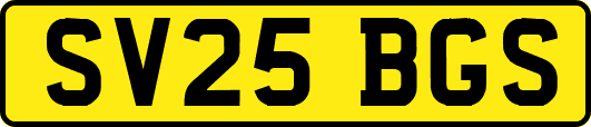 SV25BGS