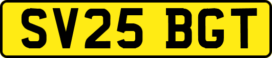 SV25BGT