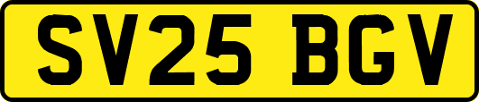 SV25BGV