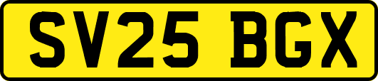 SV25BGX