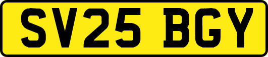 SV25BGY