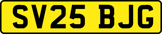 SV25BJG