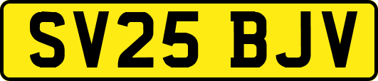 SV25BJV
