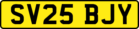 SV25BJY