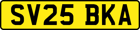 SV25BKA
