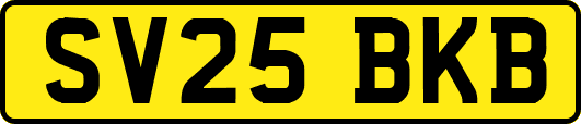 SV25BKB