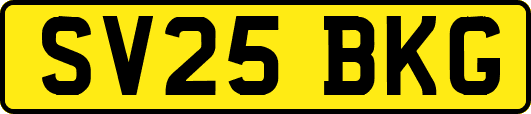 SV25BKG