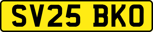 SV25BKO