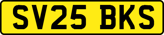 SV25BKS
