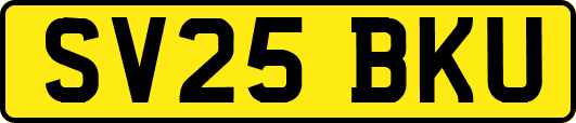 SV25BKU
