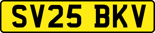 SV25BKV