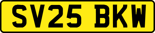 SV25BKW