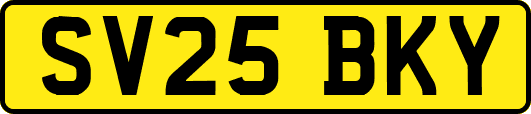 SV25BKY