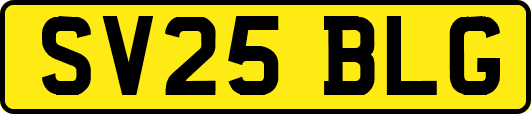 SV25BLG