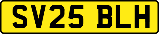 SV25BLH