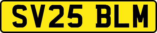 SV25BLM