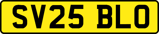 SV25BLO