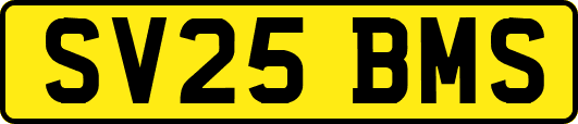 SV25BMS
