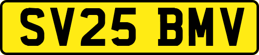 SV25BMV