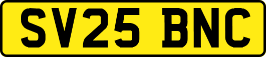SV25BNC