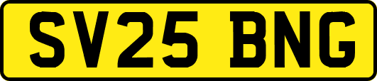 SV25BNG