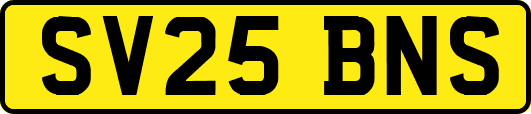SV25BNS
