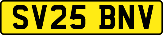 SV25BNV