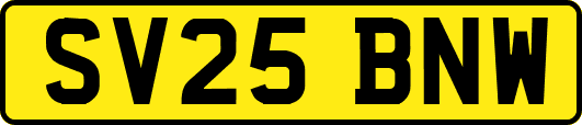 SV25BNW