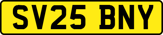 SV25BNY