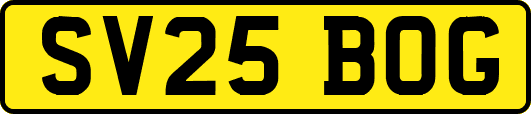 SV25BOG